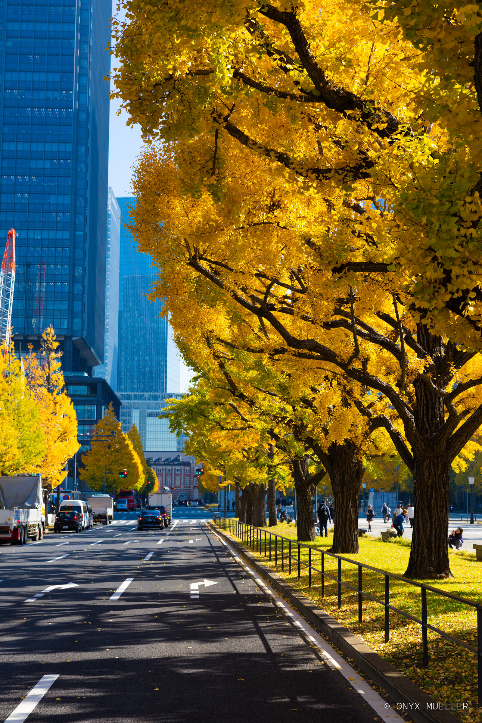 Marunouchi Yellow