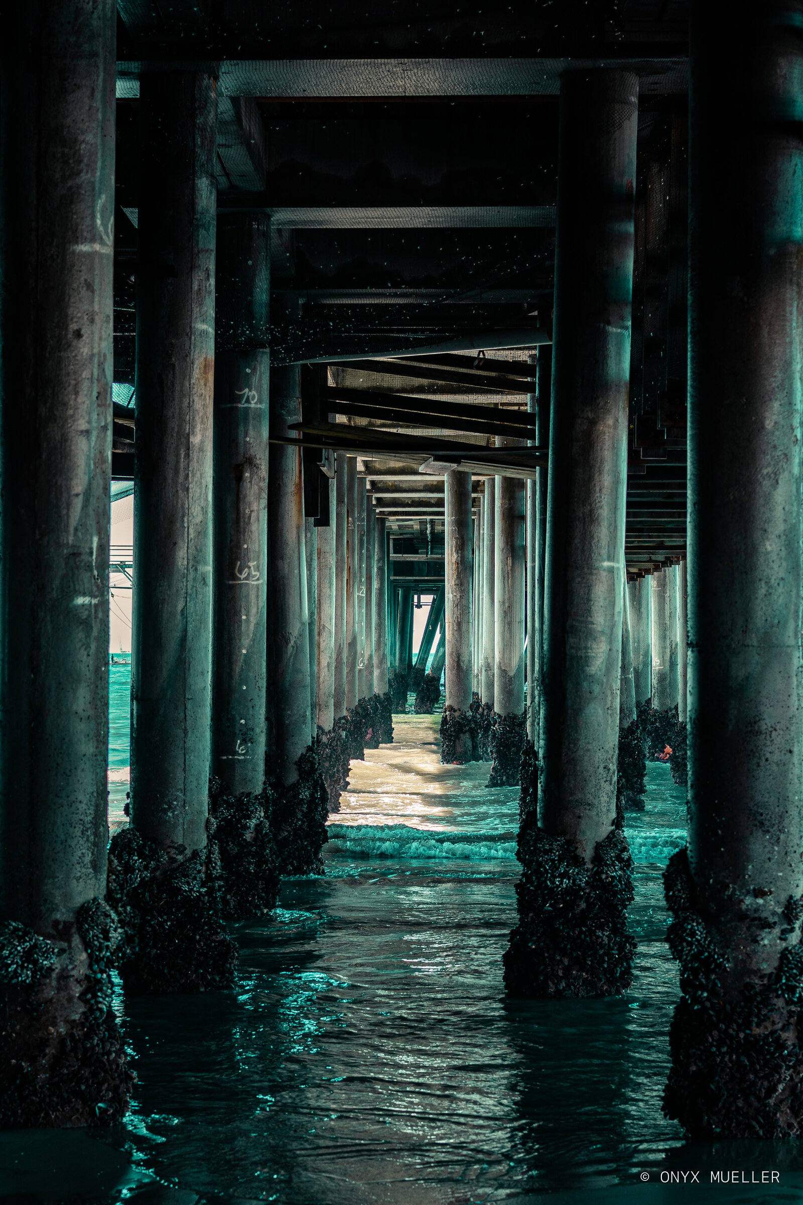 Under the Pier